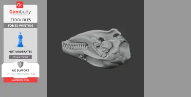 Elephant Shrew Skull - Skull Replica STL