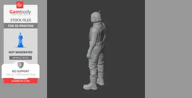 A 3D model of a character in a helmet and suit, standing with arms by their sides, viewed from behind.