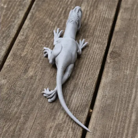 Gray 3D-printed model of a Santanaraptor on a wooden surface, showcasing its detailed prehistoric anatomy.