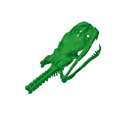 Emerald Tree Boa Skull.3mf