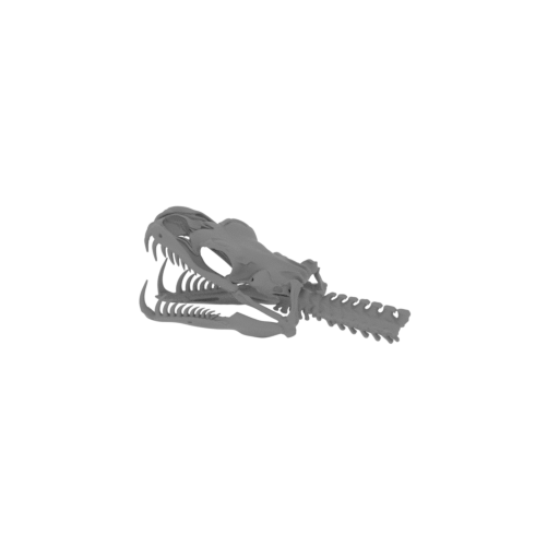 Emerald Tree Boa Skull.stl