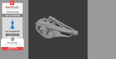 Emu Skull - Skull Replica STL