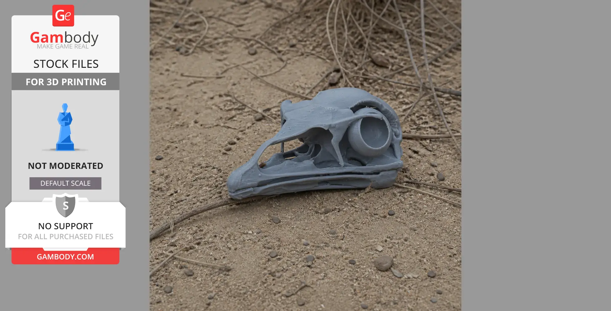 Emu Skull - Skull Replica STL