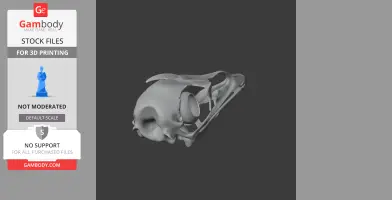 Emu Skull - Skull Replica STL