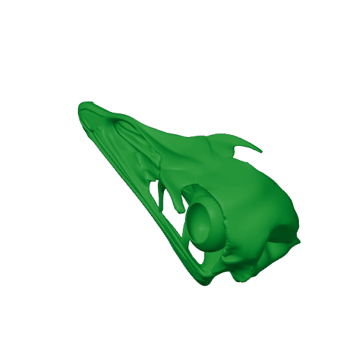 Emu Skull.3mf