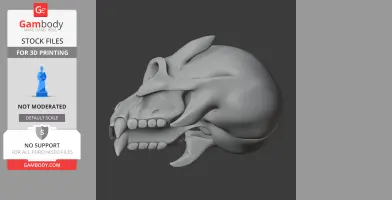 Eomellivora Skull - Skull Replica STL