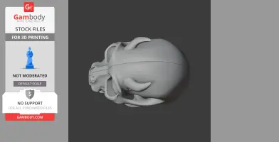 Eomellivora Skull - Skull Replica STL