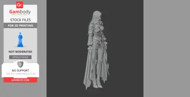 A detailed 3D model of a female character in ornate armor with flowing long hair and a cape.