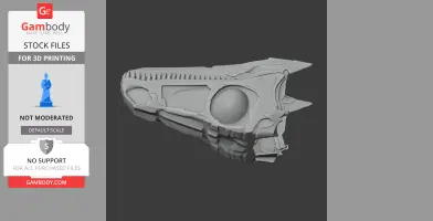 Eoraptor (early synapsid) Skull - Skull Replica STL
