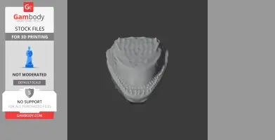 3D model of an Eryops skull from above, showing teeth and textured head surface for printing.