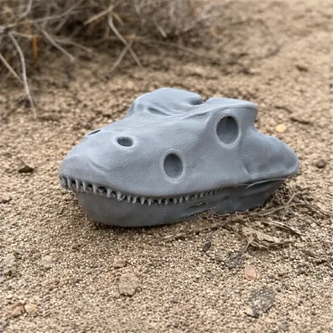 3D-printed Eryops skull replica with smooth texture, resting on sandy ground.