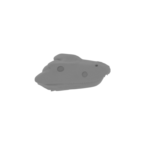 Eryops Skull.stl
