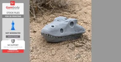 Gray 3D-printed Eryops skull replica on sandy ground, showcasing detailed eye sockets and teeth.