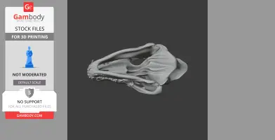 Eurasian Wolf Skull - Skull Replica STL