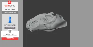 Eurasian Wolf Skull - Skull Replica STL