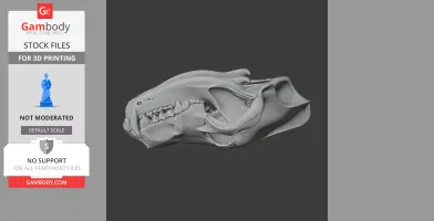 Eurasian Wolf Skull - Skull Replica STL