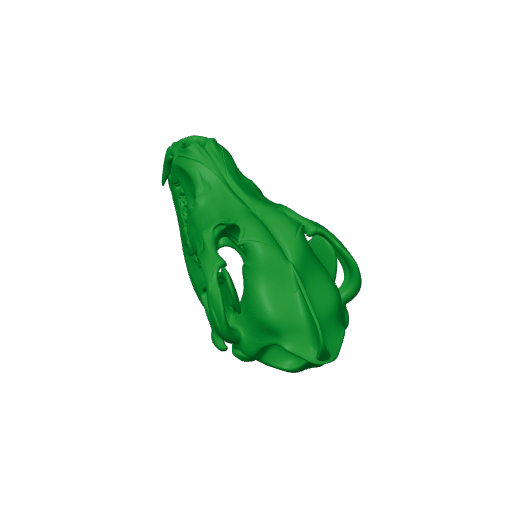 Eurasian Wolf Skull.3mf