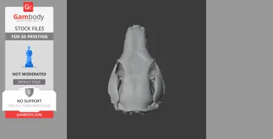 3D model of a Euro wallaroo skull viewed from above, displayed on a dark background.