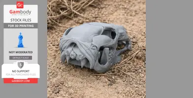 Detailed 3D-printed Euro Wallaroo skull replica shown on a sandy surface.