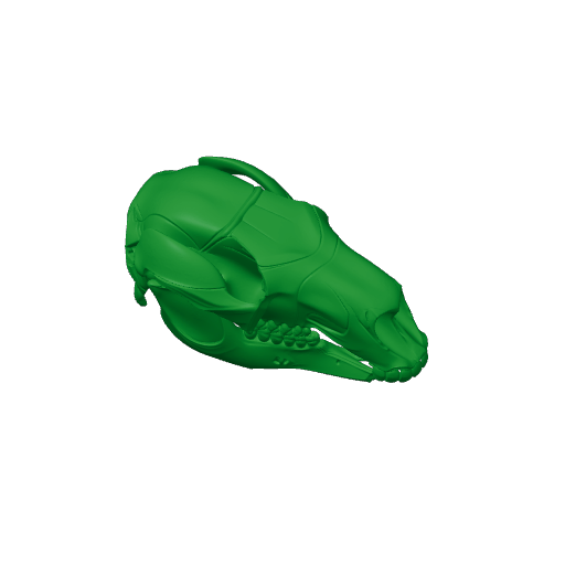 Euro Wallaroo Skull.3mf