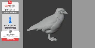 A detailed 3D model of a prehistoric sheathbill bird, designed for 3D printing.