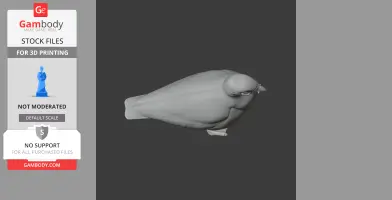 3D model of a prehistoric sheathbill bird for 3D printing, showcased from a top view.