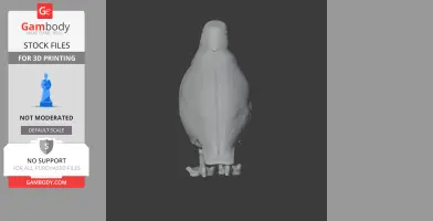 3D model of a prehistoric sheathbill bird, viewed from the front, designed for 3D printing.