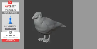 3D model of a detailed prehistoric sheathbill bird, suitable for 3D printing.