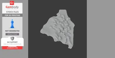 A 3D topographic relief model, possibly terrain, with raised areas and irregular shape.