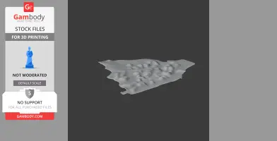 A 3D topographic terrain model with various elevations and uneven surfaces in grayscale.