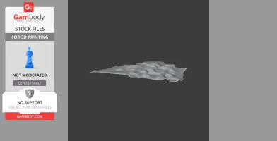 Textured 3D model of Bincknoll Castle terrain for 3D printing, shown on a display screen.