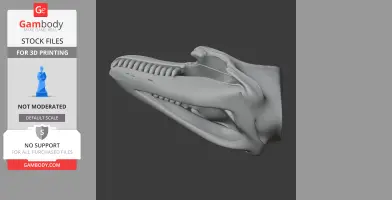 3D model of a false killer whale skull, detailed lateral view for printing.