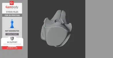 3D model of a false killer whale skull replica on a dark background.
