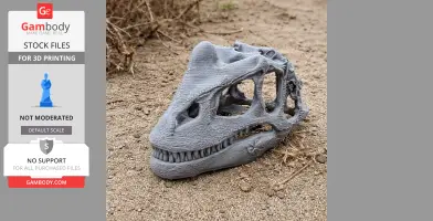3D printed Fasolasuchus skull replica on sandy ground.