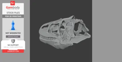 3D model of a Fasolasuchus skull, featuring intricate bone structures for 3D printing.