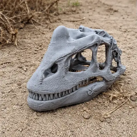 A 3D-printed Fasolasuchus skull model resting on sandy ground.