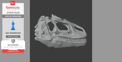 3D model of a Fasolasuchus skull, detailed with prominent teeth and cranial features.