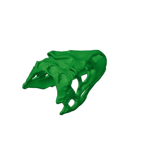 Fasolasuchus Skull.3mf