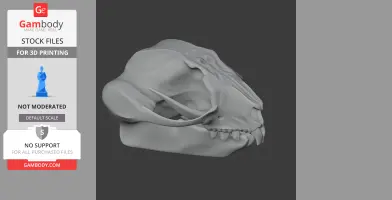 Feathertail Glider Skull - Skull Replica STL