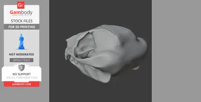 Feathertail Glider Skull - Skull Replica STL