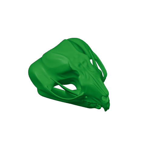 Feathertail Glider Skull.3mf
