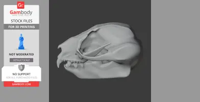 Feathertail Glider Skull - Skull Replica STL