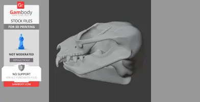 Feathertail Glider Skull - Skull Replica STL