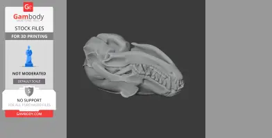 3D model of a fennec fox skull, detailed and textured, for 3D printing.