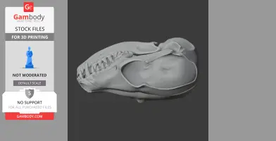3D printable fennec fox skull model, showcasing detailed bone structure and teeth.