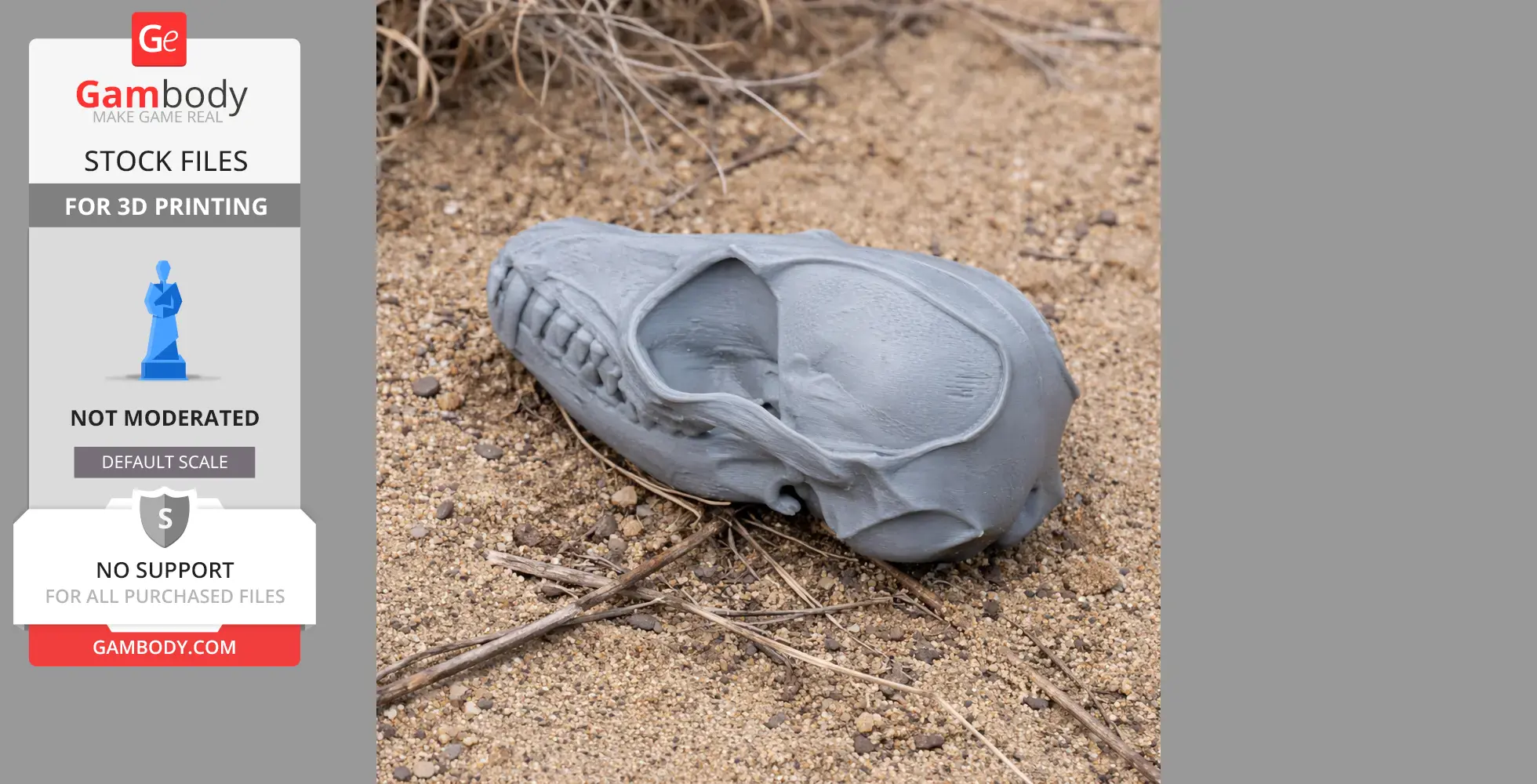 A 3D-printed Fennec fox skull replica resting on sandy ground with dry twigs.