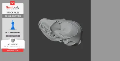 3D model of a detailed fennec fox skull for printing, showcasing teeth and cranial features.
