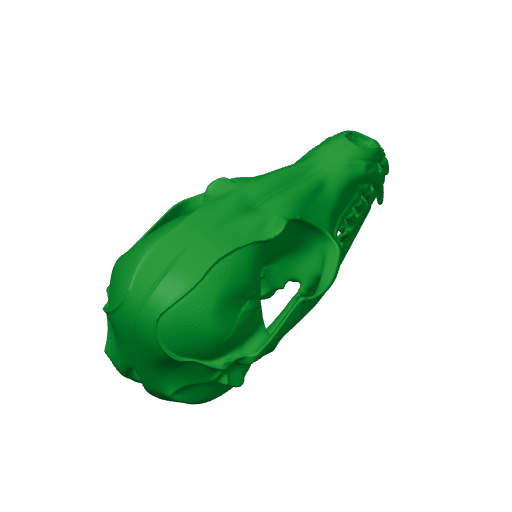 Fennec Fox Skull.3mf