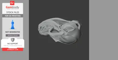 A 3D model of a fennec fox skull for printing, side view, detailed jaw and teeth structure.