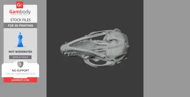 3D model of a detailed Fennec fox skull, suitable for 3D printing.